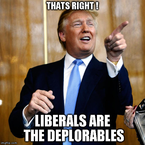 Donald Trump | THATS RIGHT ! LIBERALS ARE THE DEPLORABLES | image tagged in donald trump | made w/ Imgflip meme maker