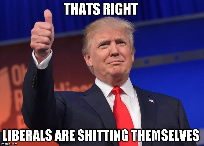 donald trump | THATS RIGHT; LIBERALS ARE SHITTING THEMSELVES | image tagged in donald trump | made w/ Imgflip meme maker