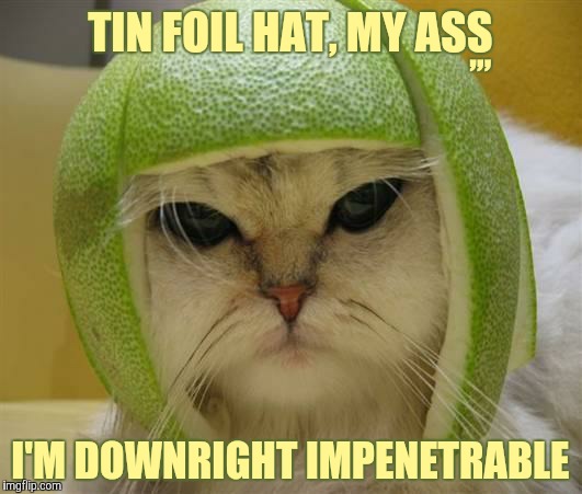 Cat  | TIN FOIL HAT, MY ASS; ,,, I'M DOWNRIGHT IMPENETRABLE | image tagged in cat | made w/ Imgflip meme maker