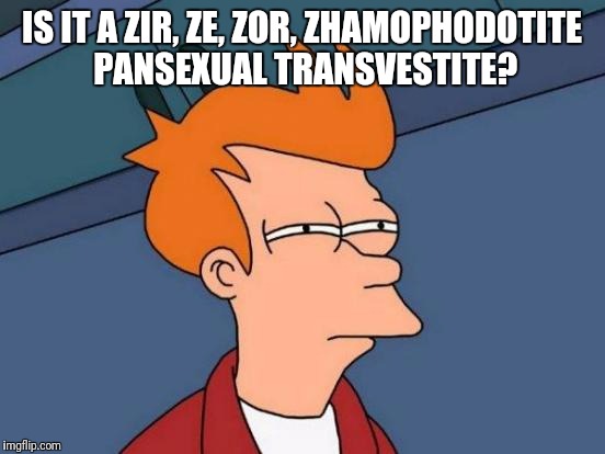 Futurama Fry Meme | IS IT A ZIR, ZE, ZOR, ZHAMOPHODOTITE PANSEXUAL TRANSVESTITE? | image tagged in memes,futurama fry | made w/ Imgflip meme maker