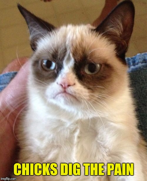 Grumpy Cat Meme | CHICKS DIG THE PAIN | image tagged in memes,grumpy cat | made w/ Imgflip meme maker