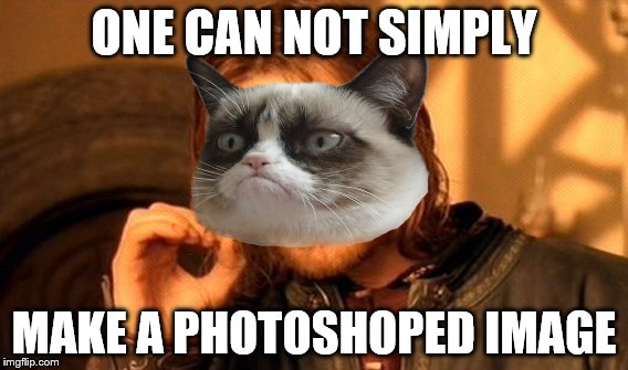 ONE CAN NOT SIMPLY MAKE A PHOTOSHOPED IMAGE | image tagged in memes,one does not simply | made w/ Imgflip meme maker