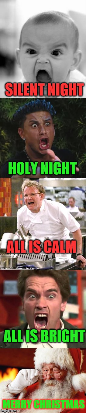 SILENT NIGHT; HOLY NIGHT; ALL IS CALM; ALL IS BRIGHT; MERRY CHRISTMAS | image tagged in christmas | made w/ Imgflip meme maker