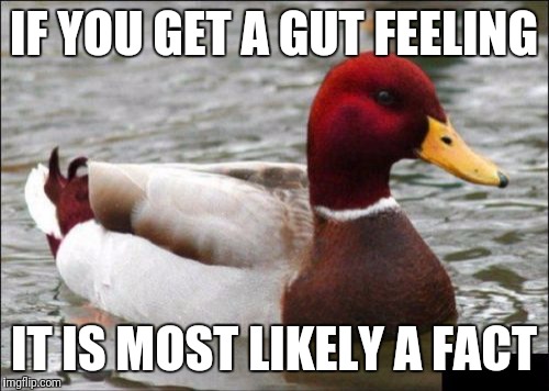 Malicious Advice Mallard Meme | IF YOU GET A GUT FEELING; IT IS MOST LIKELY A FACT | image tagged in memes,malicious advice mallard | made w/ Imgflip meme maker