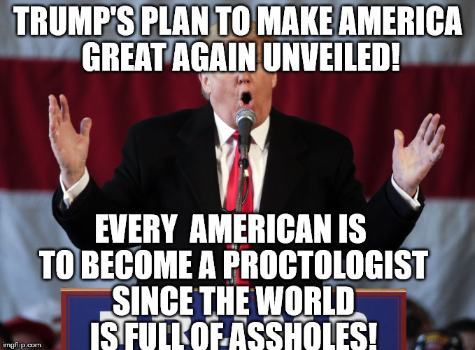 Make america great again | TRUMP'S PLAN TO MAKE AMERICA GREAT AGAIN UNVEILED! EVERY  AMERICAN IS TO BECOME A PROCTOLOGIST SINCE THE WORLD IS FULL OF ASSHOLES! | image tagged in make america great again | made w/ Imgflip meme maker