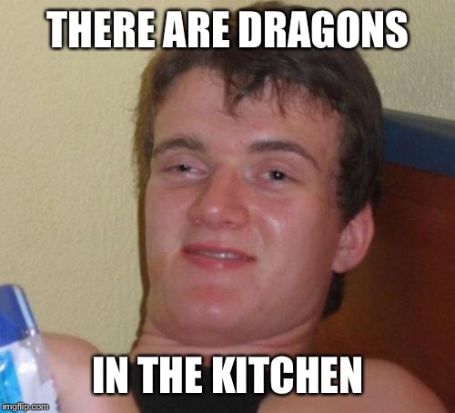 10 Guy Meme | THERE ARE DRAGONS IN THE KITCHEN | image tagged in memes,10 guy | made w/ Imgflip meme maker