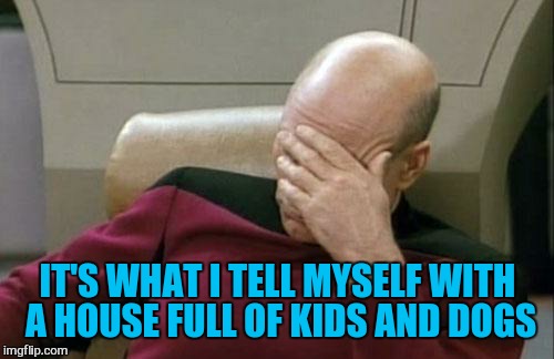 Captain Picard Facepalm Meme | IT'S WHAT I TELL MYSELF WITH A HOUSE FULL OF KIDS AND DOGS | image tagged in memes,captain picard facepalm | made w/ Imgflip meme maker