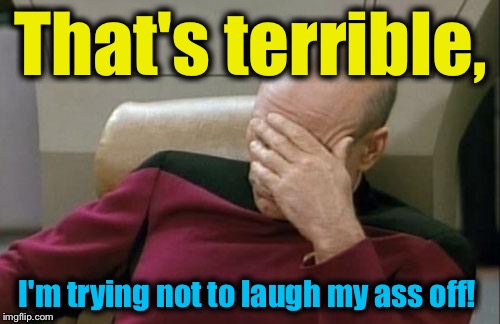 Captain Picard Facepalm Meme | That's terrible, I'm trying not to laugh my ass off! | image tagged in memes,captain picard facepalm | made w/ Imgflip meme maker