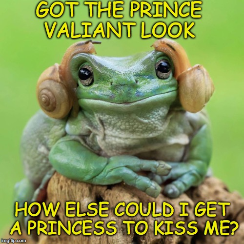 Frog Prince | GOT THE PRINCE VALIANT LOOK; HOW ELSE COULD I GET A PRINCESS TO KISS ME? | image tagged in fairy tales,first kiss | made w/ Imgflip meme maker