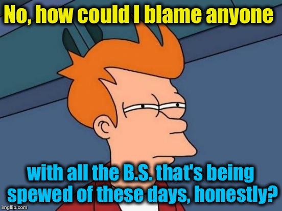 Futurama Fry Meme | No, how could I blame anyone with all the B.S. that's being spewed of these days, honestly? | image tagged in memes,futurama fry | made w/ Imgflip meme maker
