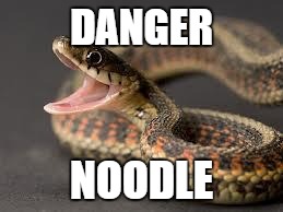 Names for things #5 | DANGER NOODLE | image tagged in memes,warning snake,funny,danger noodle,snake,names for things | made w/ Imgflip meme maker