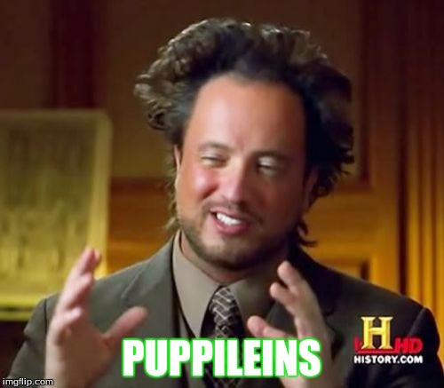 Ancient Aliens Meme | PUPPILEINS | image tagged in memes,ancient aliens | made w/ Imgflip meme maker
