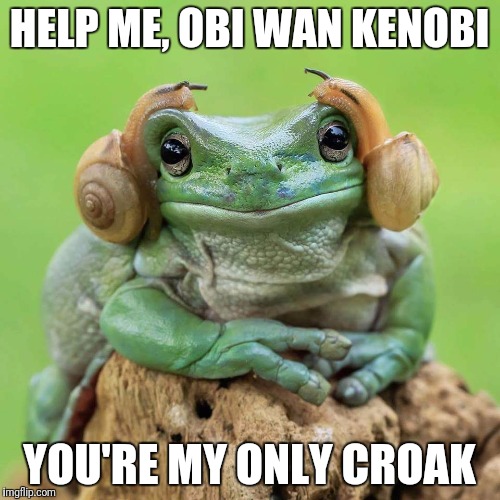Leia Frog | HELP ME, OBI WAN KENOBI; YOU'RE MY ONLY CROAK | image tagged in leia frog | made w/ Imgflip meme maker