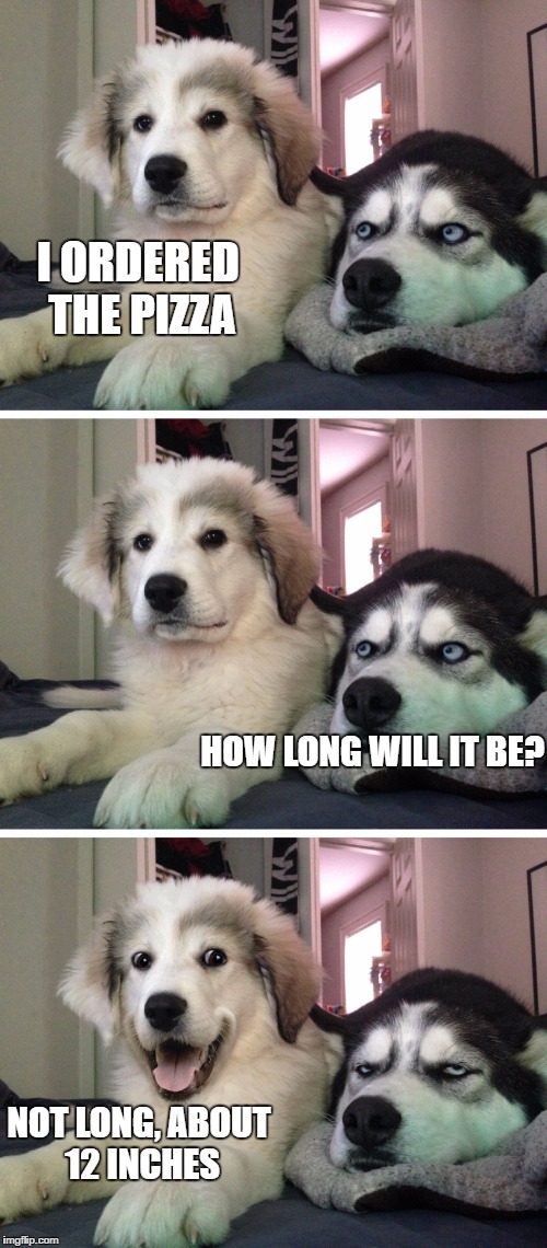 Bad pun dogs | I ORDERED THE PIZZA; HOW LONG WILL IT BE? NOT LONG, ABOUT 12 INCHES | image tagged in bad pun dogs | made w/ Imgflip meme maker