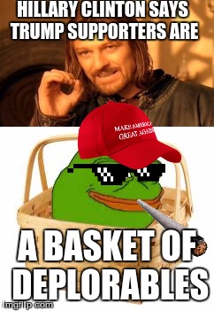 Basket of deplorables | HILLARY CLINTON SAYS TRUMP SUPPORTERS ARE; A BASKET OF DEPLORABLES | image tagged in donald trump | made w/ Imgflip meme maker