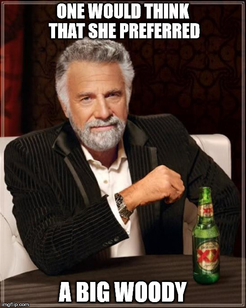 The Most Interesting Man In The World Meme | ONE WOULD THINK THAT SHE PREFERRED A BIG WOODY | image tagged in memes,the most interesting man in the world | made w/ Imgflip meme maker