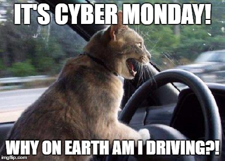 catsale | IT'S CYBER MONDAY! WHY ON EARTH AM I DRIVING?! | image tagged in catsale | made w/ Imgflip meme maker