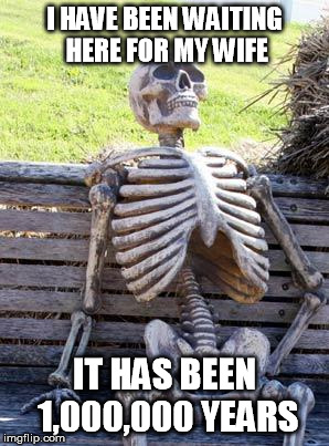 Waiting Skeleton Meme | I HAVE BEEN WAITING HERE FOR MY WIFE; IT HAS BEEN 1,000,000 YEARS | image tagged in memes,waiting skeleton | made w/ Imgflip meme maker