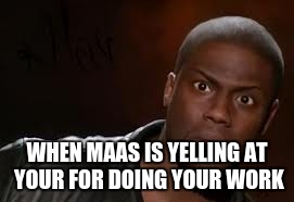 Kevin Hart Meme | WHEN MAAS IS YELLING AT YOUR FOR DOING YOUR WORK | image tagged in memes,kevin hart the hell | made w/ Imgflip meme maker