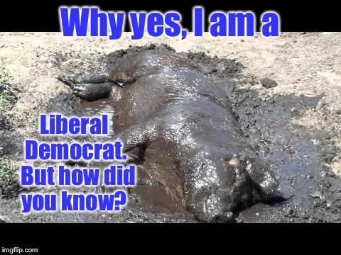Why yes, I am a Liberal Democrat.  But how did you know? | made w/ Imgflip meme maker