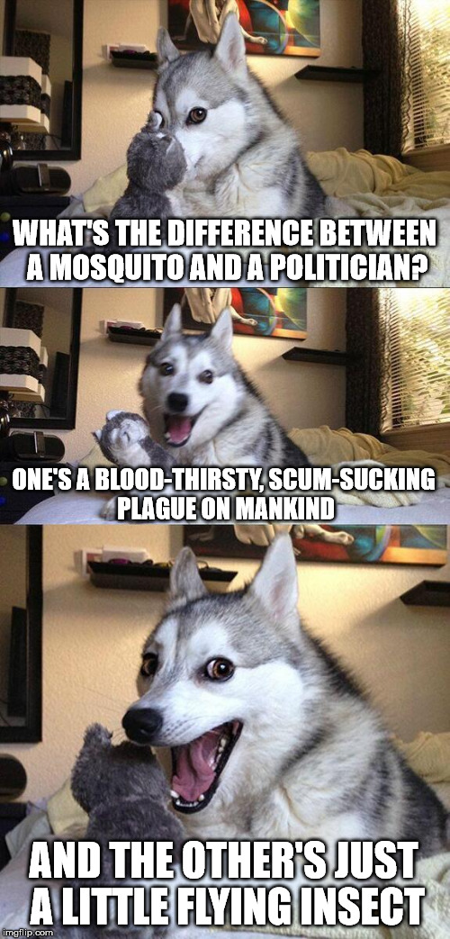 They both suck... | WHAT'S THE DIFFERENCE BETWEEN A MOSQUITO AND A POLITICIAN? ONE'S A BLOOD-THIRSTY, SCUM-SUCKING PLAGUE ON MANKIND; AND THE OTHER'S JUST A LITTLE FLYING INSECT | image tagged in memes,bad pun dog,politicians | made w/ Imgflip meme maker