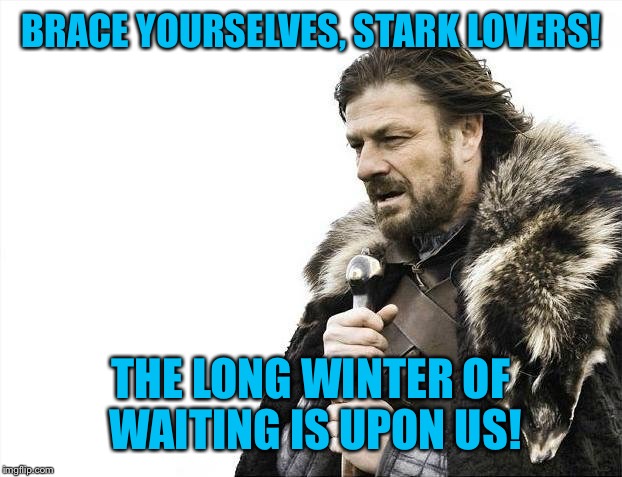 Brace Yourselves X is Coming Meme | BRACE YOURSELVES, STARK LOVERS! THE LONG WINTER OF WAITING IS UPON US! | image tagged in memes,brace yourselves x is coming | made w/ Imgflip meme maker