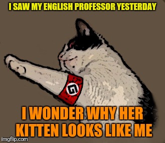 I SAW MY ENGLISH PROFESSOR YESTERDAY I WONDER WHY HER KITTEN LOOKS LIKE ME | made w/ Imgflip meme maker