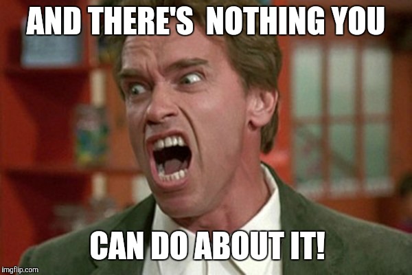 Nothing You Can Do | AND THERE'S  NOTHING YOU; CAN DO ABOUT IT! | image tagged in arnold,arnold schwarzenegger | made w/ Imgflip meme maker