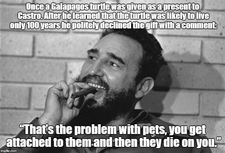 Castro on turtles as pets |  Once a Galapagos turtle was given as a present to Castro. After he learned that the turtle was likely to live only 100 years he politely declined the gift with a comment:; “That’s the problem with pets, you get attached to them and then they die on you.” | image tagged in castro,turtles,pets | made w/ Imgflip meme maker
