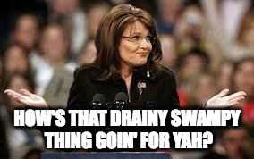 Sarah Palin 5 | HOW'S THAT DRAINY SWAMPY THING GOIN' FOR YAH? | image tagged in sarah palin 5 | made w/ Imgflip meme maker