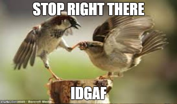 STOP RIGHT THERE IDGAF | made w/ Imgflip meme maker