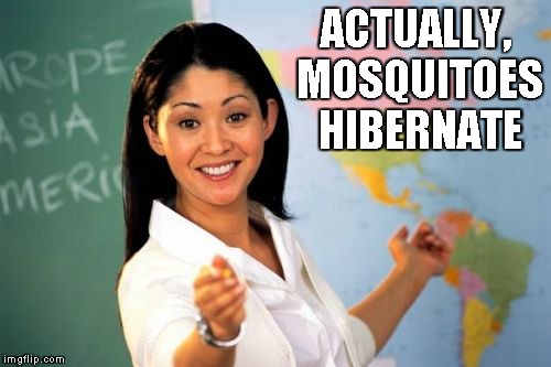 ACTUALLY, MOSQUITOES HIBERNATE | image tagged in unhelpful highschool teacher | made w/ Imgflip meme maker