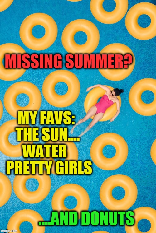 Missing Summer | MY FAVS: THE SUN.... WATER    PRETTY GIRLS; MISSING SUMMER? ....AND DONUTS | image tagged in vince vance,pool with yellow inner tubes,girl in fuschia bathing suit in pool,blue water,summertime,donuts | made w/ Imgflip meme maker