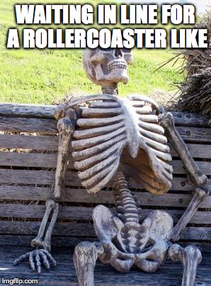 Waiting Skeleton | WAITING IN LINE FOR A ROLLERCOASTER LIKE | image tagged in memes,waiting skeleton | made w/ Imgflip meme maker