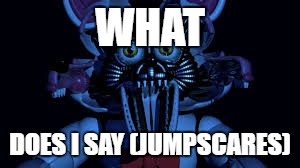 Funtime foxy jumpscare fnaf sister location | WHAT; DOES I SAY (JUMPSCARES) | image tagged in funtime foxy jumpscare fnaf sister location | made w/ Imgflip meme maker