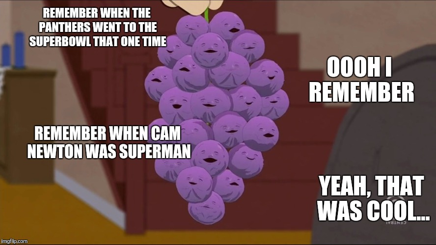 Member berries or Sour Grapes | REMEMBER WHEN THE PANTHERS WENT TO THE SUPERBOWL THAT ONE TIME; OOOH I REMEMBER; REMEMBER WHEN CAM NEWTON WAS SUPERMAN; YEAH, THAT WAS COOL... | image tagged in memes,member berries | made w/ Imgflip meme maker