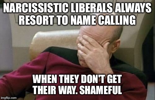 Captain Picard Facepalm Meme | NARCISSISTIC LIBERALS ALWAYS RESORT TO NAME CALLING WHEN THEY DON'T GET THEIR WAY. SHAMEFUL | image tagged in memes,captain picard facepalm | made w/ Imgflip meme maker