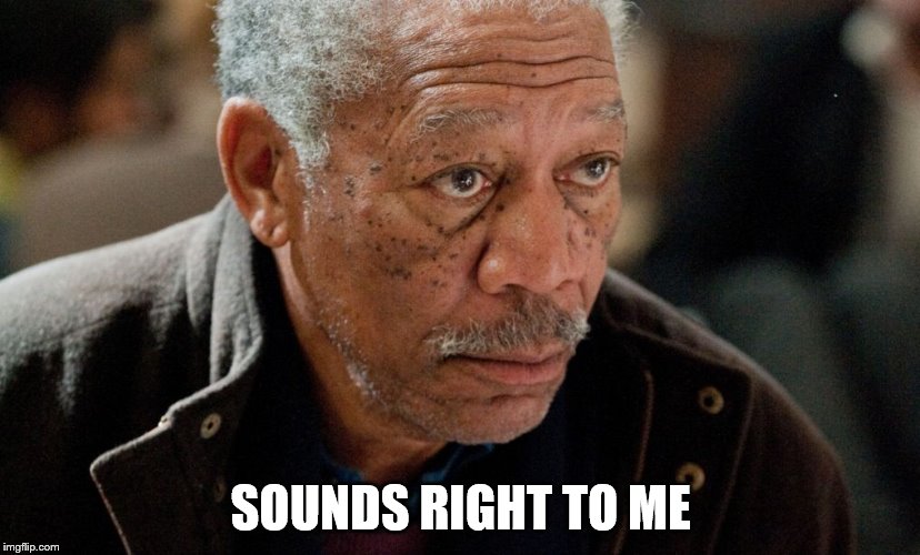 Morgan Freeman | SOUNDS RIGHT TO ME | image tagged in morgan freeman | made w/ Imgflip meme maker