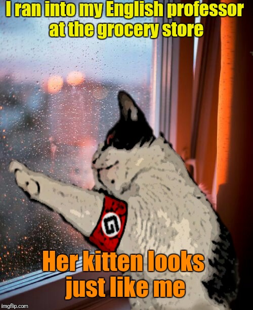 Introspective Grammar Cat | I ran into my English professor at the grocery store; Her kitten looks just like me | image tagged in memes,grammar cat,introspective grammar cat | made w/ Imgflip meme maker
