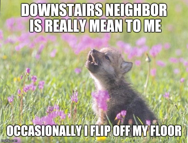 Baby Insanity Wolf Meme | DOWNSTAIRS NEIGHBOR IS REALLY MEAN TO ME; OCCASIONALLY I FLIP OFF MY FLOOR | image tagged in memes,baby insanity wolf | made w/ Imgflip meme maker