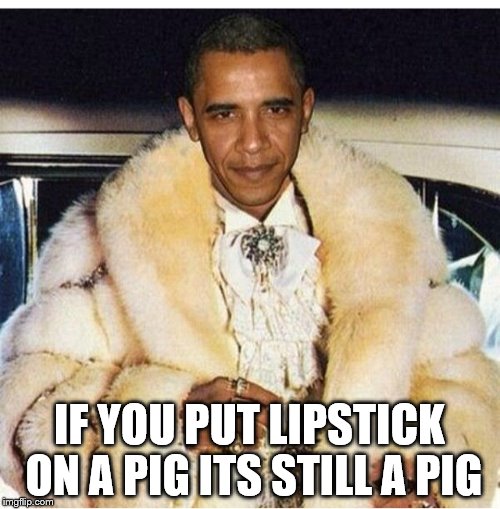 Pimp Daddy Obama | IF YOU PUT LIPSTICK ON A PIG ITS STILL A PIG | image tagged in pimp daddy obama | made w/ Imgflip meme maker