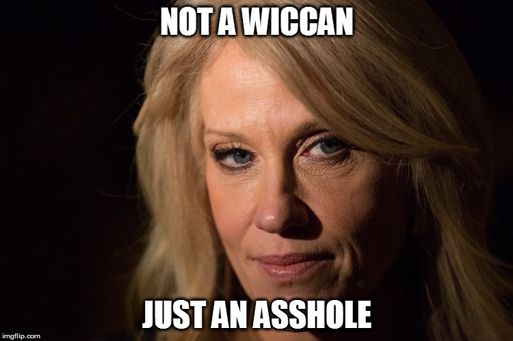 NOT A WICCAN; JUST AN ASSHOLE | image tagged in not a wiccan | made w/ Imgflip meme maker