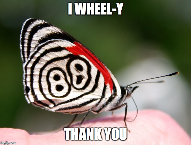 Puzzle Solver Butterfly | I WHEEL-Y THANK YOU | image tagged in puzzle solver butterfly | made w/ Imgflip meme maker