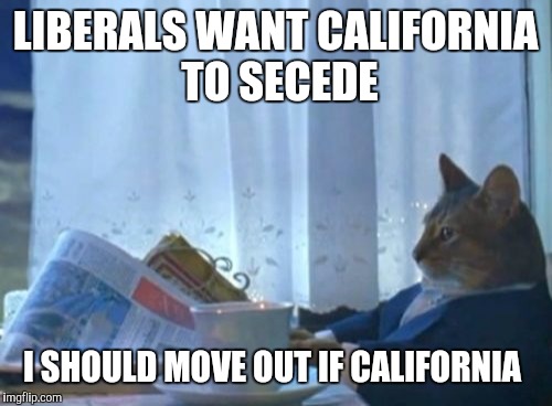 I Should Buy A Boat Cat | LIBERALS WANT CALIFORNIA TO SECEDE; I SHOULD MOVE OUT IF CALIFORNIA | image tagged in memes,i should buy a boat cat | made w/ Imgflip meme maker