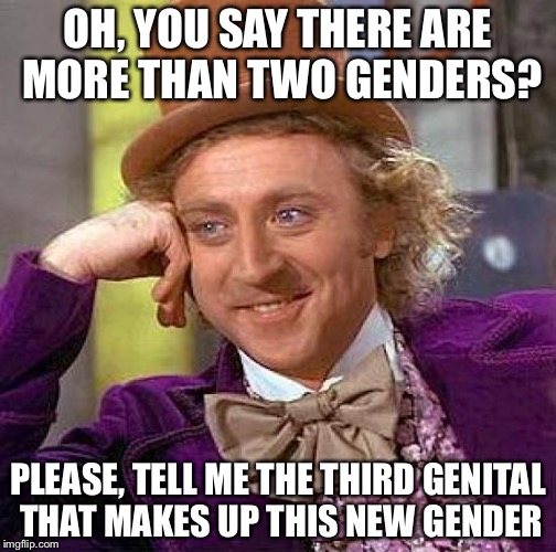 Creepy Condescending Wonka Meme | OH, YOU SAY THERE ARE MORE THAN TWO GENDERS? PLEASE, TELL ME THE THIRD GENITAL THAT MAKES UP THIS NEW GENDER | image tagged in memes,creepy condescending wonka | made w/ Imgflip meme maker