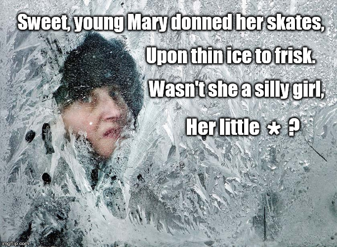 PUNctuation! | Sweet, young Mary donned her skates, Upon thin ice to frisk. Wasn't she a silly girl, Her little; ? * | image tagged in asterisk,puns,bad pun,punctuation | made w/ Imgflip meme maker