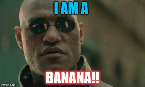Matrix Morpheus | I AM A; BANANA!! | image tagged in memes,matrix morpheus | made w/ Imgflip meme maker