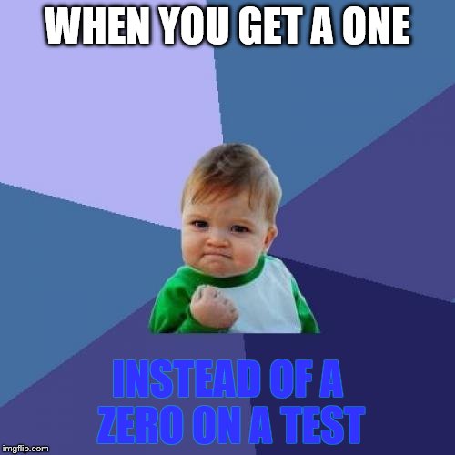 Success Kid Meme | WHEN YOU GET A ONE; INSTEAD OF A ZERO ON A TEST | image tagged in memes,success kid | made w/ Imgflip meme maker