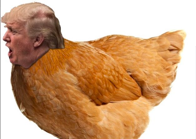 High Quality Trumpo} chicken  Blank Meme Template