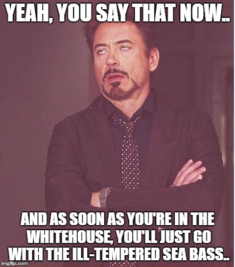 Face You Make Robert Downey Jr Meme | YEAH, YOU SAY THAT NOW.. AND AS SOON AS YOU'RE IN THE WHITEHOUSE, YOU'LL JUST GO WITH THE ILL-TEMPERED SEA BASS.. | image tagged in memes,face you make robert downey jr | made w/ Imgflip meme maker